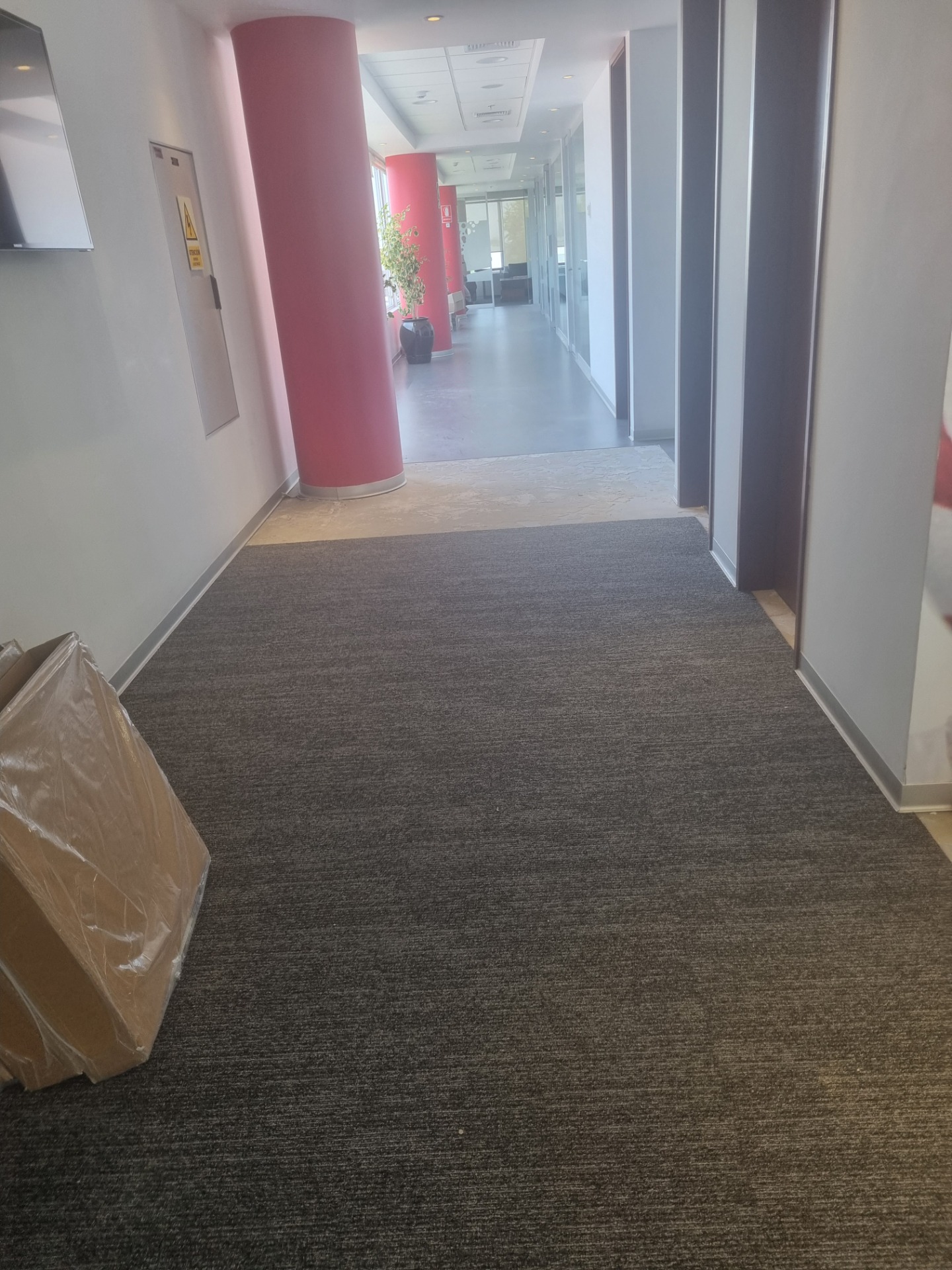 Trabajo de alfombras 